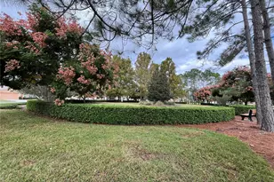 11321 Copley Ct, Spring Hill, FL 34609 - Photo 59