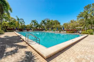 1004 Osprey Ct, Tarpon Springs, FL 34689 - Photo 59