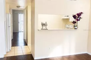 7141 E Bank Dr, Tampa, FL 33617 - Photo 3