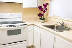 7141 E Bank Dr, Tampa, FL 33617 - Photo 5