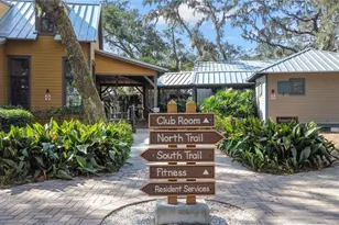 5706 Esker Falls Ln, Lithia, FL 33547 - Photo 63