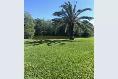 261 Cypress Lane, Oldsmar, FL 34677 - Photo 21