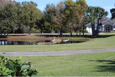 30501 Island Club Drive, Tavares, FL 32778 - Photo 39