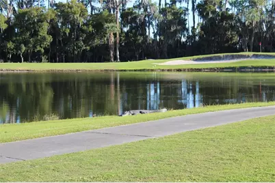 30501 Island Club Drive, Tavares, FL 32778 - Photo 41