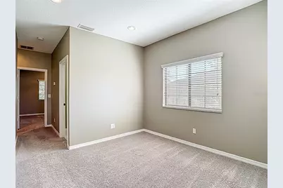 1046 Tullamore Drive, Wesley Chapel, FL 33543 - Photo 29