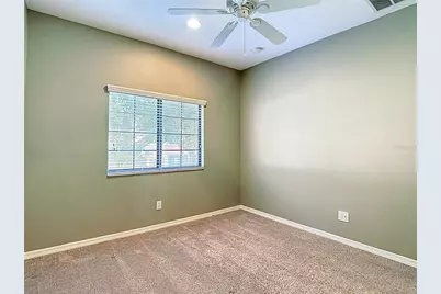 1046 Tullamore Drive, Wesley Chapel, FL 33543 - Photo 17