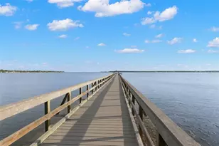 503 Park Blvd, Oldsmar, FL 34677 - Photo 3