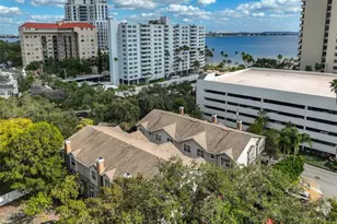 2403 W Palm Dr, Tampa, FL 33629 - Photo 41
