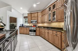 19204 Wind Dancer St, Lutz, FL 33558 - Photo 7