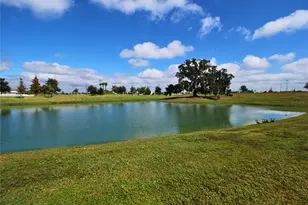 10535 Penny Gale Loop, San Antonio, FL 33576 - Photo 23