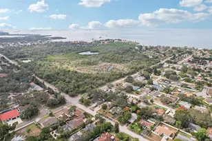 1118 Carlton Rd, Tarpon Springs, FL 34689 - Photo 57