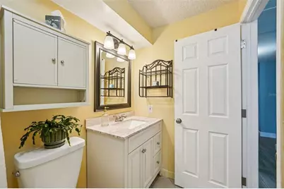 1118 Carlton Road, Tarpon Springs, FL 34689 - Photo 33