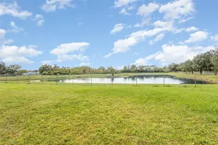 762 Sterling Spring Rd, Orlando, FL 32828 - Photo 29