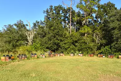 11542 Sumner Road, Wimauma, FL 33598 - Photo 51