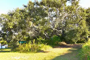 11542 Sumner Rd, Wimauma, FL 33598 - Photo 53