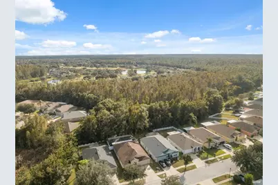 5903 War Admiral Drive, Wesley Chapel, FL 33544 - Photo 47