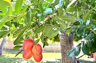 5210 Jersey Ave S, Gulfport, FL 33707 - Photo 19