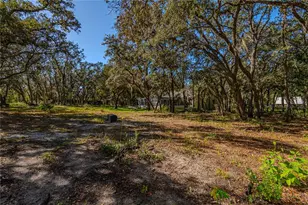 14214 Cinnaman Ln, Weeki Wachee, FL 34614 - Photo 55
