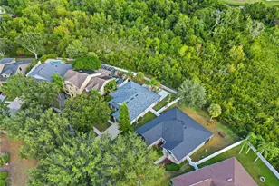 10916 Holly Cone Dr, Riverview, FL 33569 - Photo 33