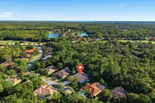 4954 Turtle Creek Trail, Oldsmar, FL 34677 - Photo 75