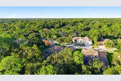 4954 Turtle Creek Trail, Oldsmar, FL 34677 - Photo 69