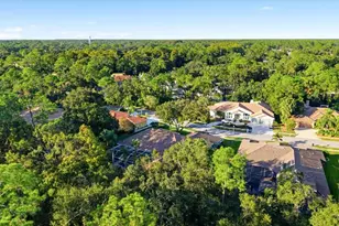 4954 Turtle Creek Trail, Oldsmar, FL 34677 - Photo 69