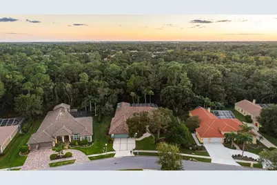 4954 Turtle Creek Trail, Oldsmar, FL 34677 - Photo 77