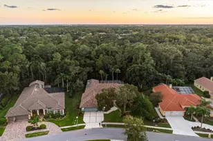 4954 Turtle Creek Trail, Oldsmar, FL 34677 - Photo 77