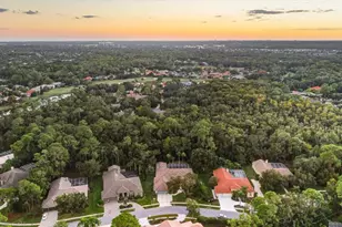 4954 Turtle Creek Trail, Oldsmar, FL 34677 - Photo 79