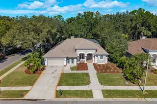 5264 Karlsburg Pl, Palm Harbor, FL 34685 - Photo 3