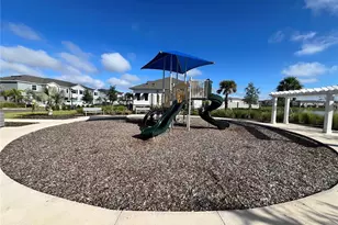 110 Mangrove Shade Cir, Apollo Beach, FL 33572 - Photo 35