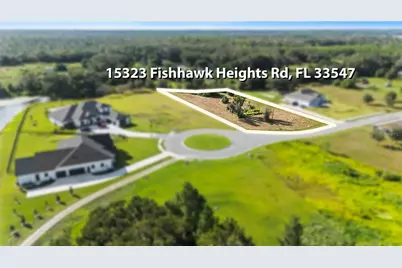 15323 Fishhawk Heights Run, Lithia, FL 33547 - Photo 3