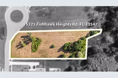 15323 Fishhawk Heights Run, Lithia, FL 33547 - Photo 9