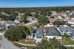 4423 Horseshoe Pick Ln, Valrico, FL 33594 - Photo 47