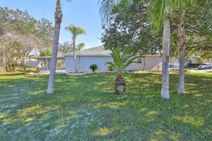 4423 Horseshoe Pick Ln, Valrico, FL 33594 - Photo 41