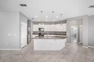 11514 Luckygem Dr, Riverview, FL 33579 - Photo 11