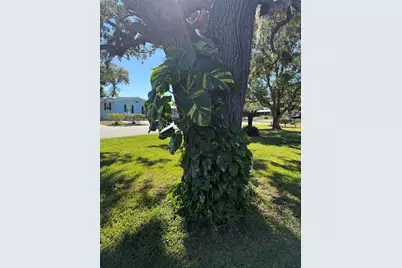 12160 Sara, Brooksville, FL 34613 - Photo 39