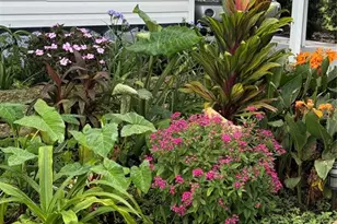 12160 Sara, Brooksville, FL 34613 - Photo 35