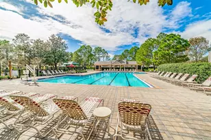 15731 Phoebepark Avenue, Lithia, FL 33547 - Photo 45