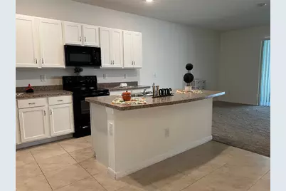 3816 Vignoble Lane, Brandon, FL 33511 - Photo 11