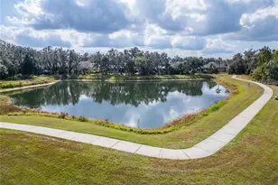 16022 Ternglade Dr, Lithia, FL 33547 - Photo 87