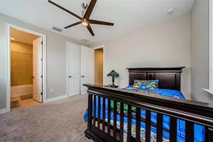 29038 Picana Ln, Wesley Chapel, FL 33543 - Photo 59