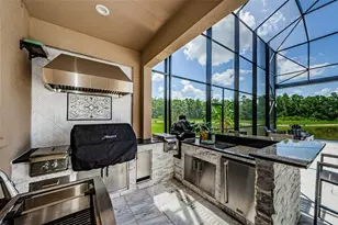 29038 Picana Ln, Wesley Chapel, FL 33543 - Photo 35