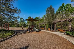 29038 Picana Ln, Wesley Chapel, FL 33543 - Photo 65