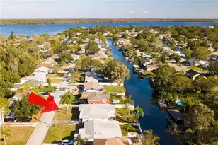 52 Cypress Dr, Palm Harbor, FL 34684 - Photo 11