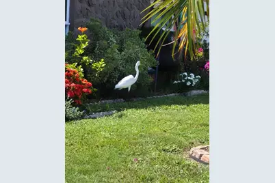 4880 Shell Stream Boulevard, New Port Richey, FL 34652 - Photo 51