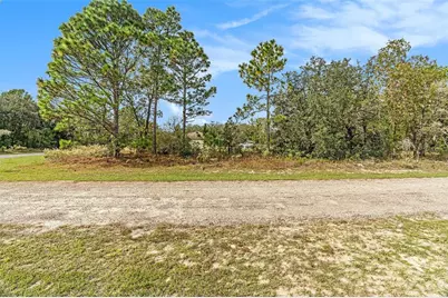 1541 W Riley Drive, Dunnellon, FL 34434 - Photo 5