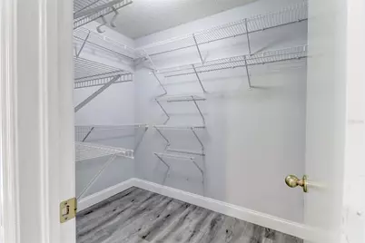 29806 Morningmist Drive, Wesley Chapel, FL 33543 - Photo 23
