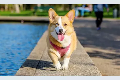 600 3rd Avenue S #201, Saint Petersburg, FL 33701 - Photo 55