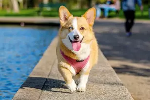 600 3rd Ave S, Saint Petersburg, FL 33701 - Photo 55